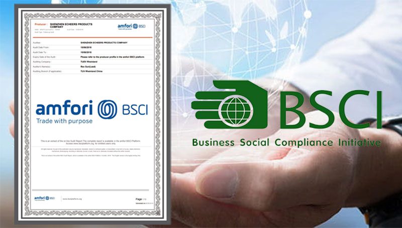 bsci 1