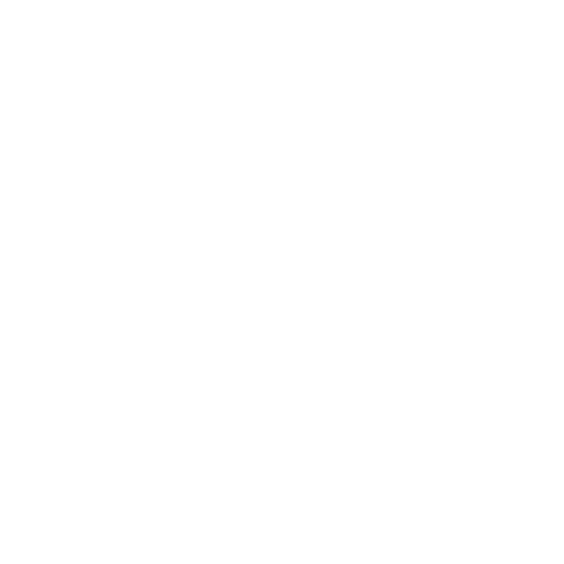 icon2016